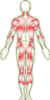 Enter Back Care Center